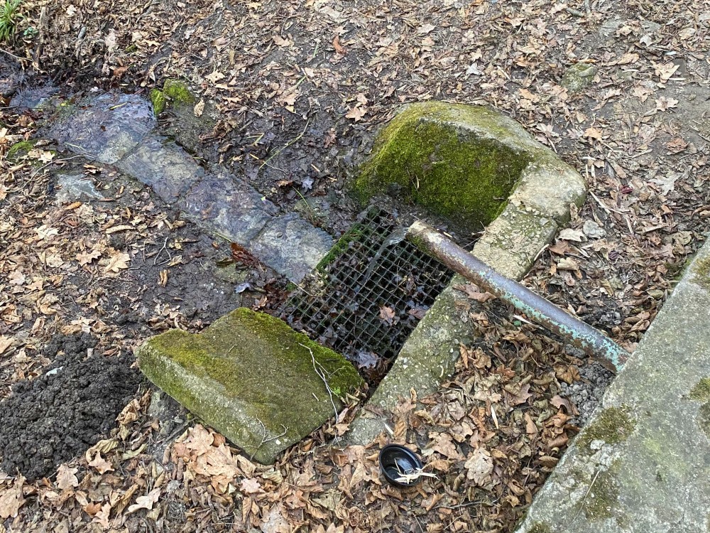 studánka bez jména (15387)