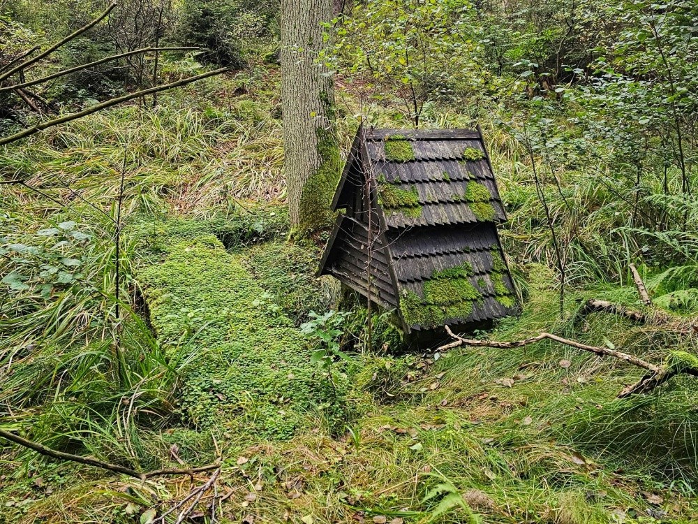 studánka Borkovnická (15388)