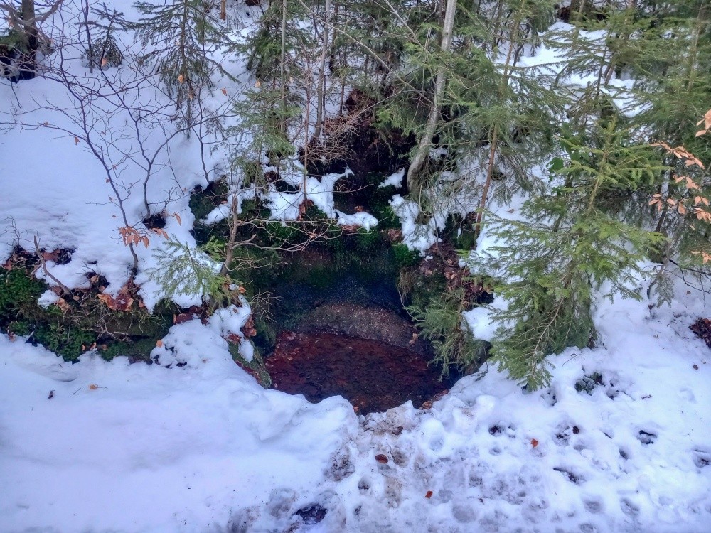 studánka Tůňka u cesty (15394)