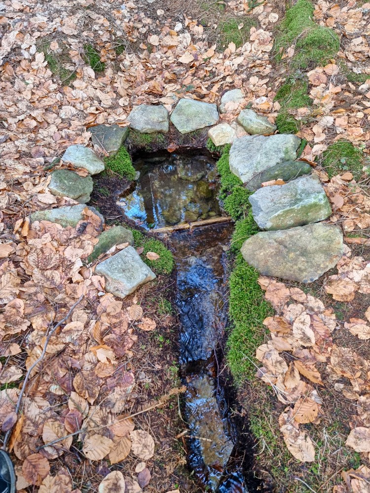 studánka Pod Trávnickým vrchem (15396)