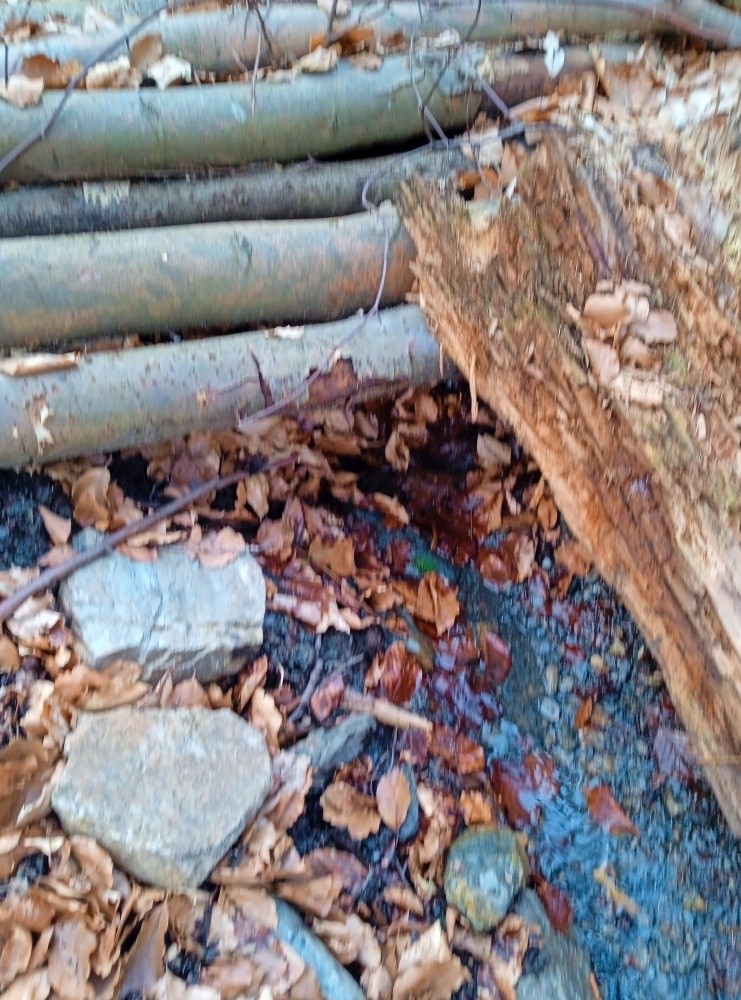 studánka Zatracená (15434)