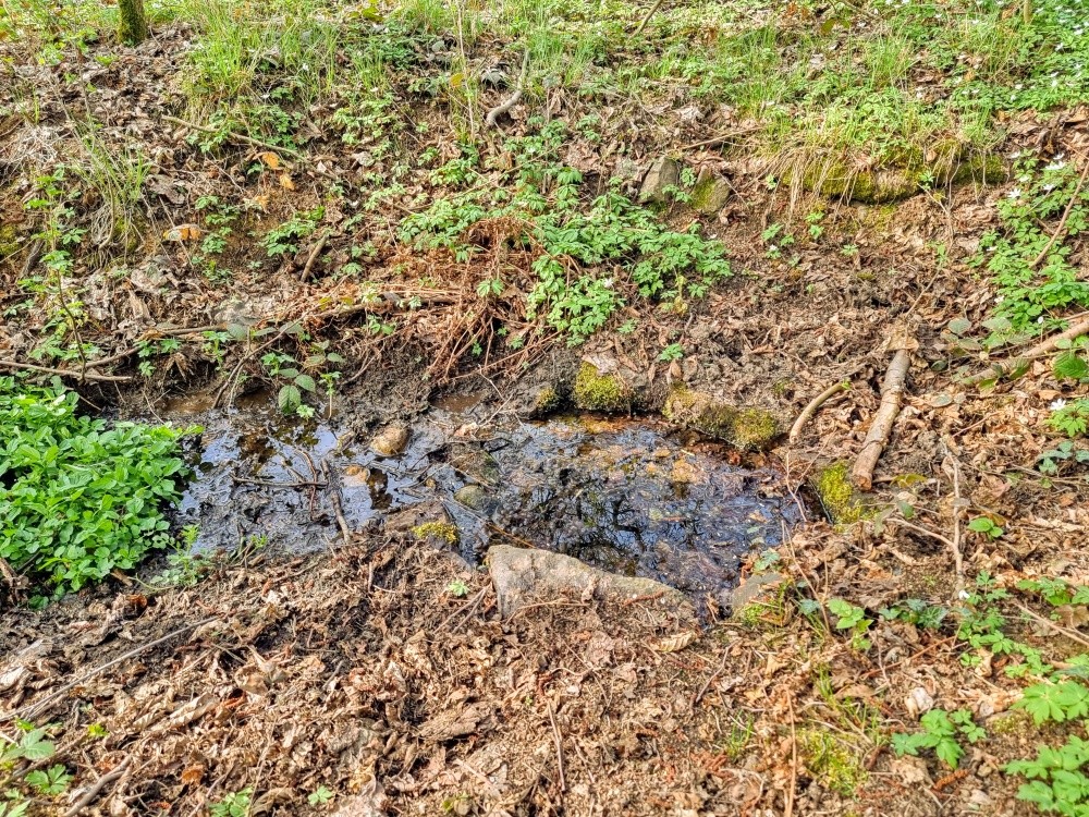 studánka U Prvního hamru (15443)