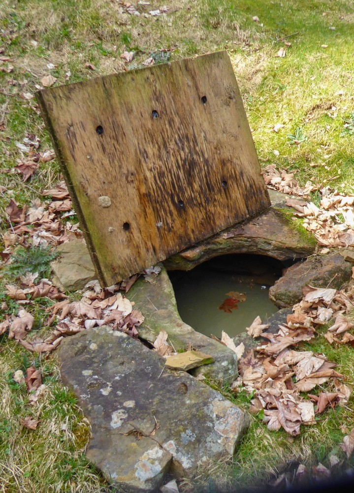 studánka bez jména (15445)