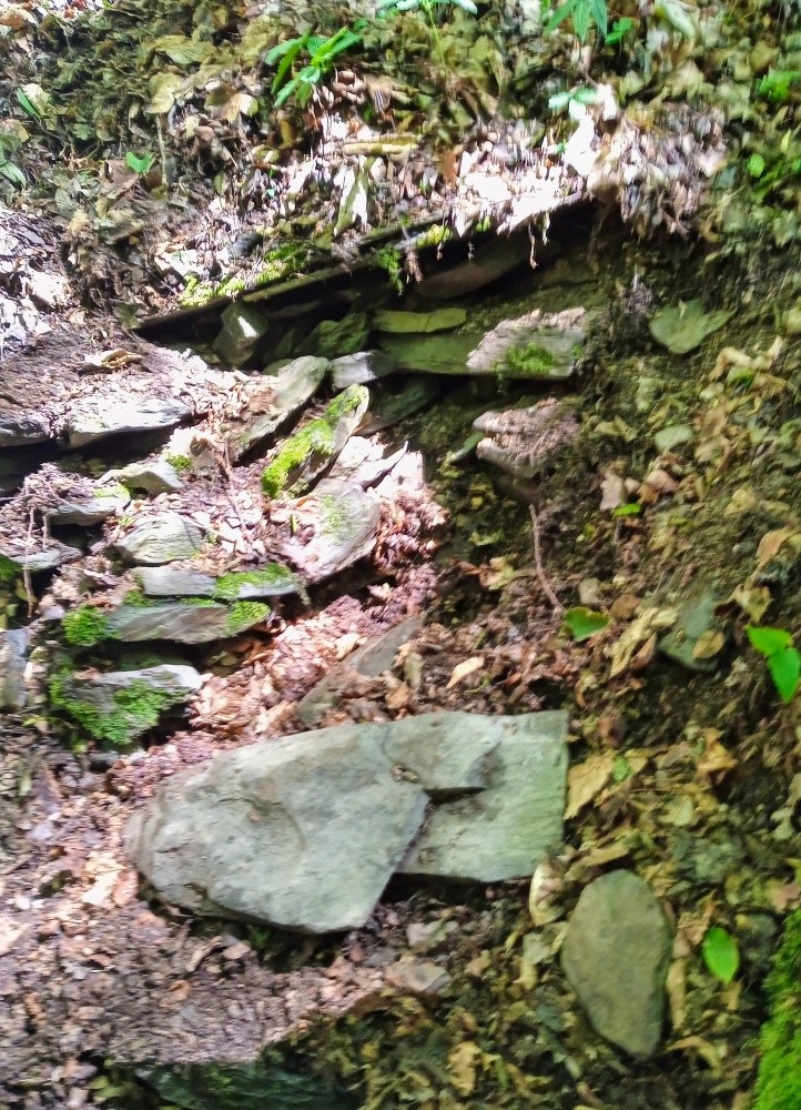 studánka Tulinka (15477)