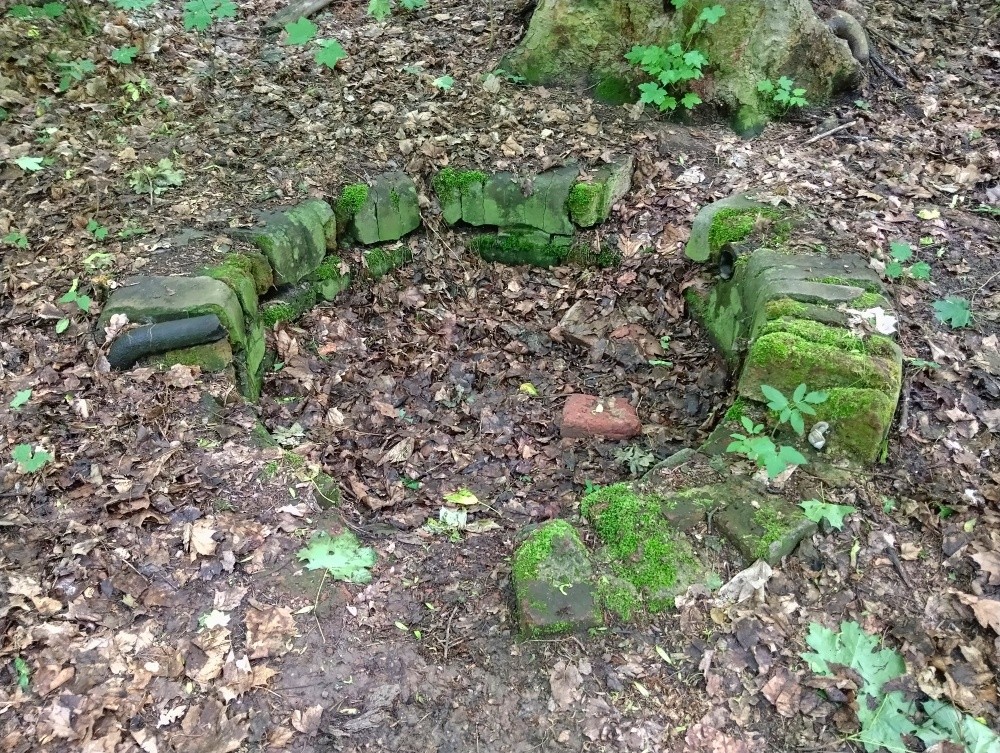 studánka bez jména (15481)