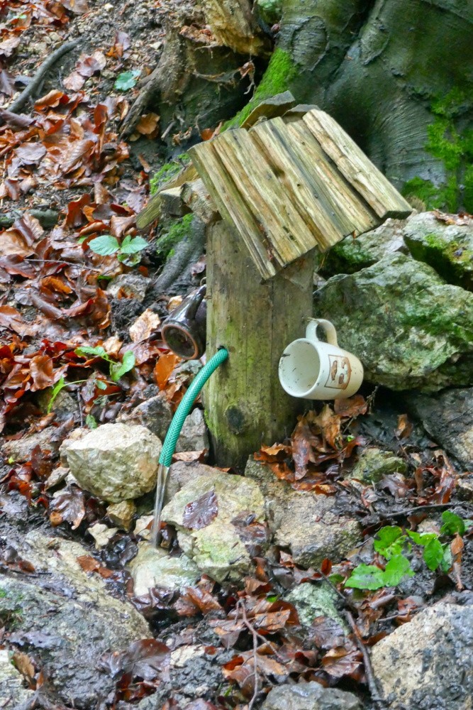 Maškova studánka (15489)