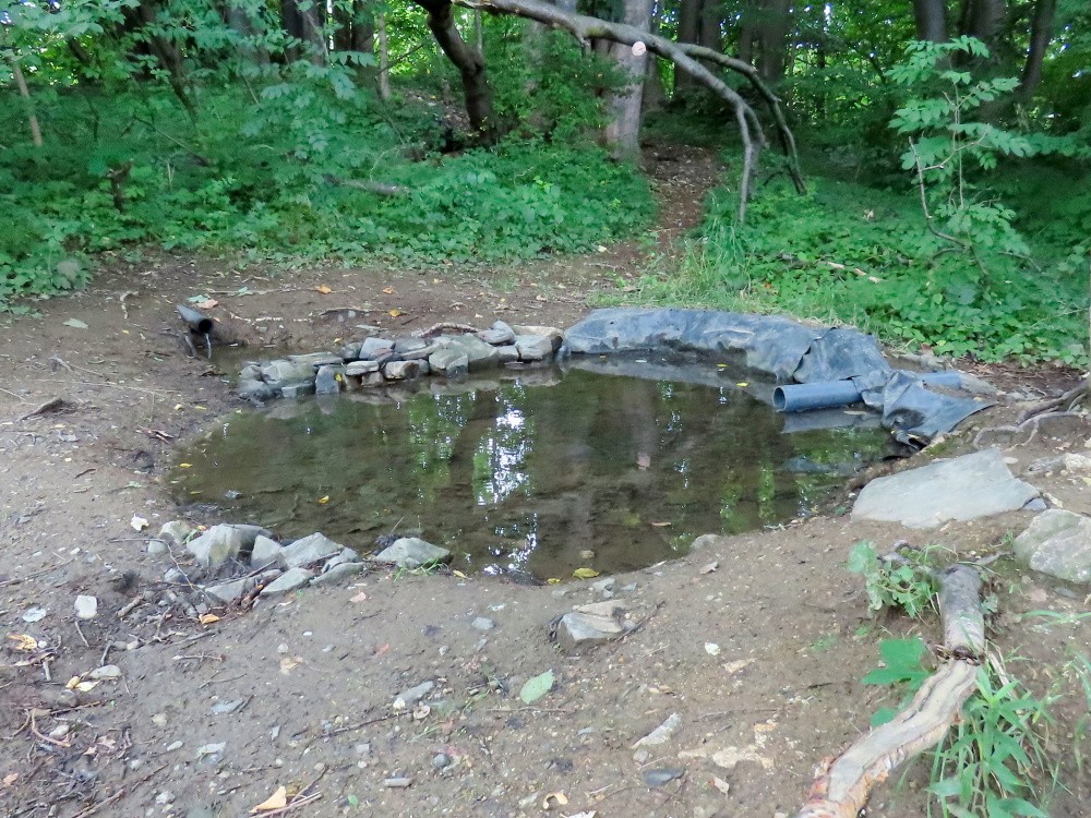 studánka Zaječí napajedlo (15502)
