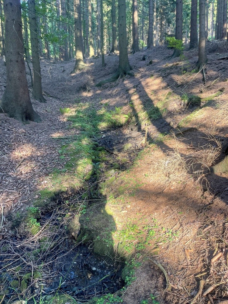 prameniště bez jména (15521)