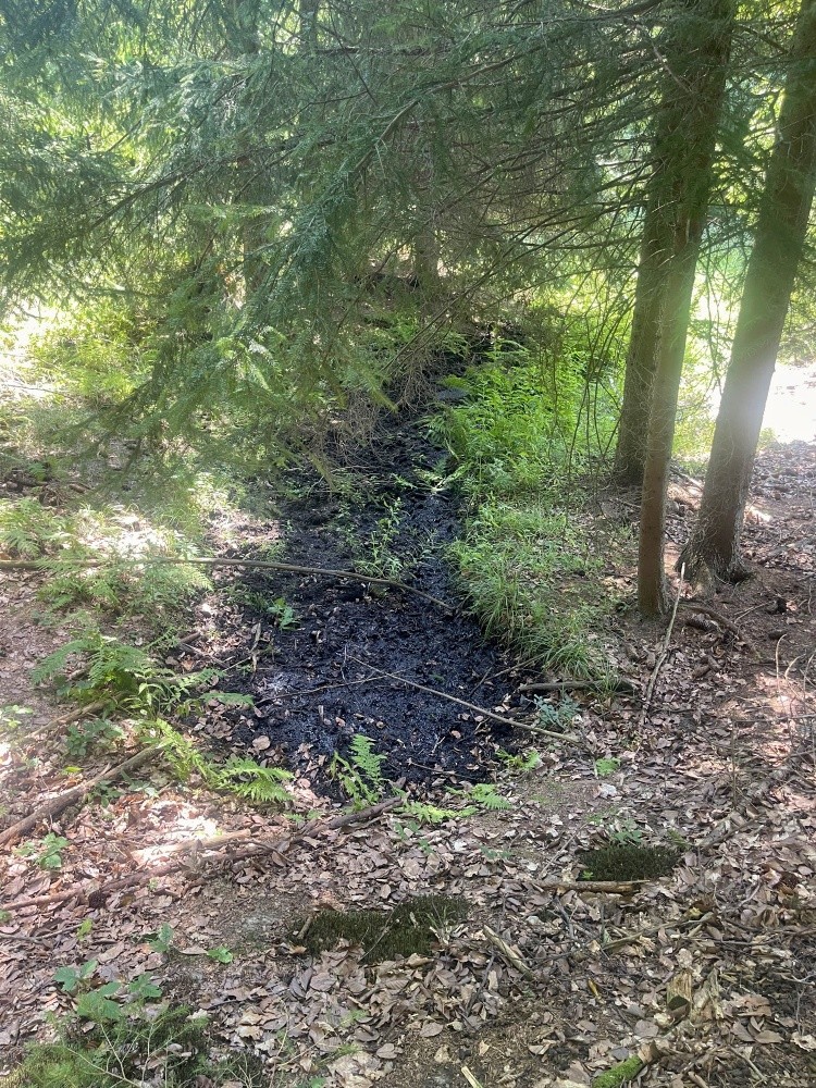 prameniště bez jména (15530)