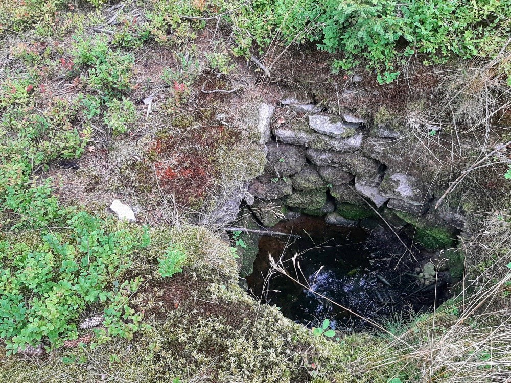studánka Borůvková (15562)