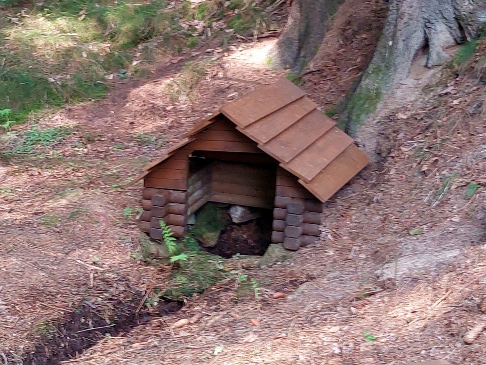 studánka V Černém lese (15569)