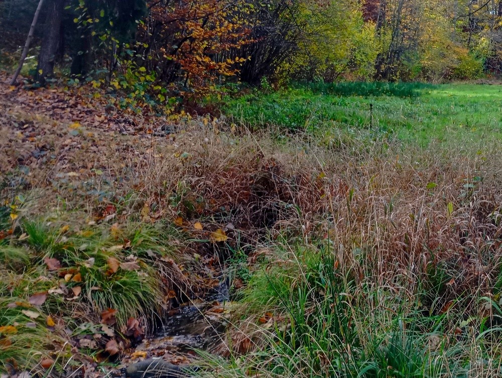 pramen U paseky (15579)