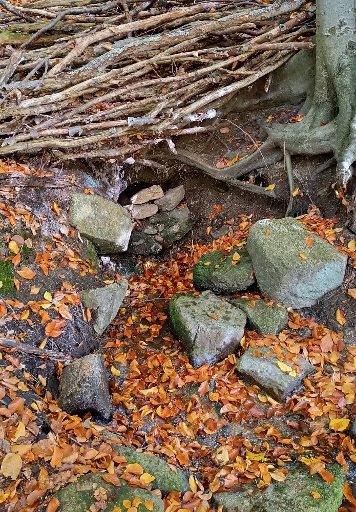 studánka bez jména (15585)