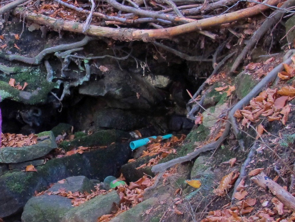 studánka Na Habáňkovém potoce (15586)