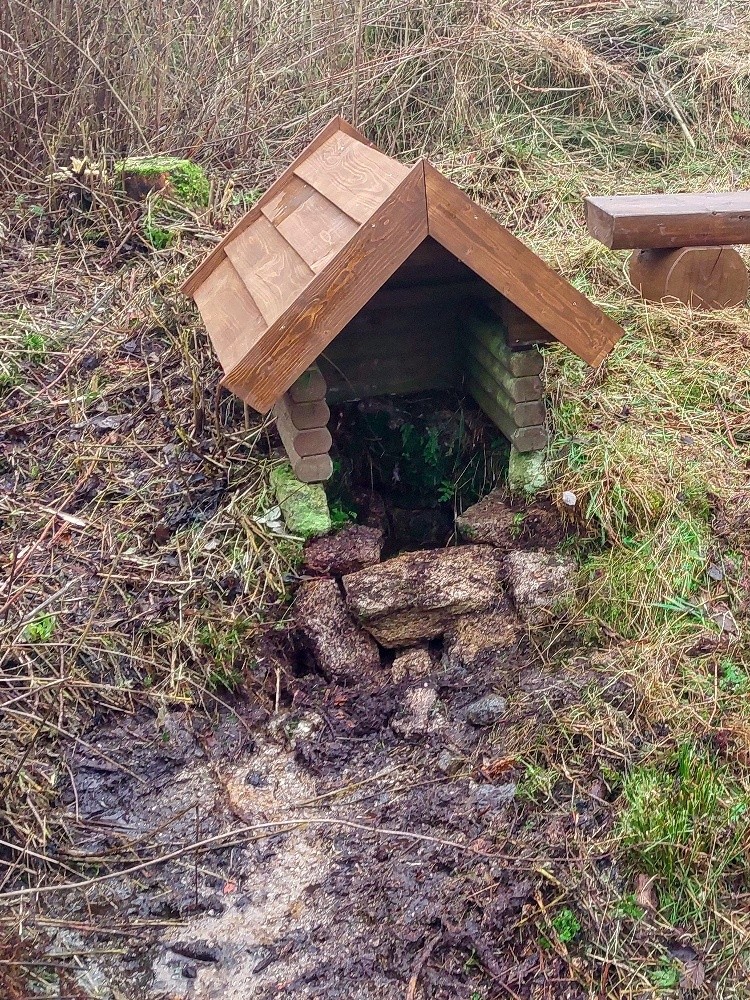studánka U Vondrových rybníčků (15589)