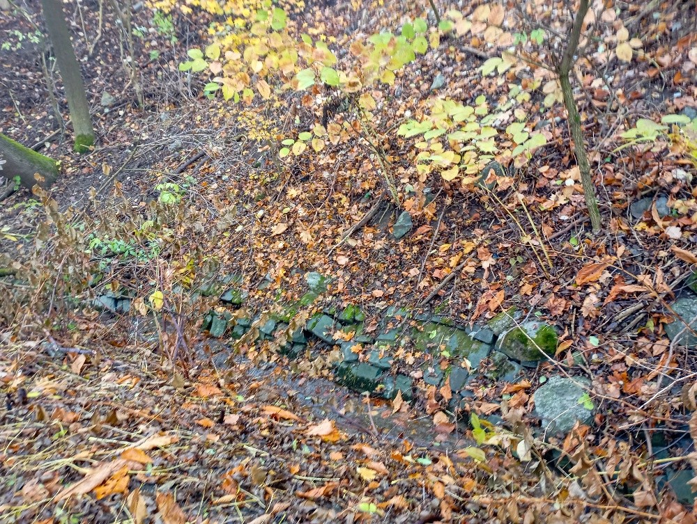 pramen Zbrašovský (15592)