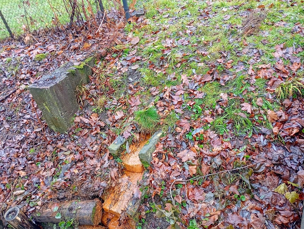 pramen Železná (15598)