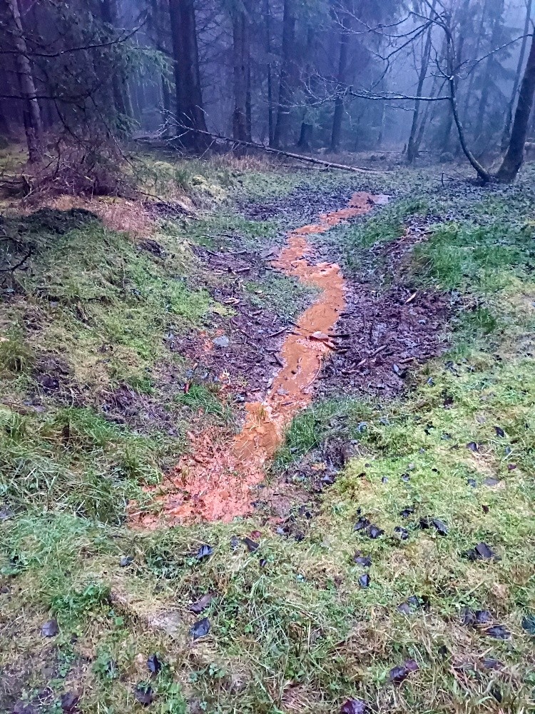 jiný vodní zdroj bez jména (15607) - leden 2026