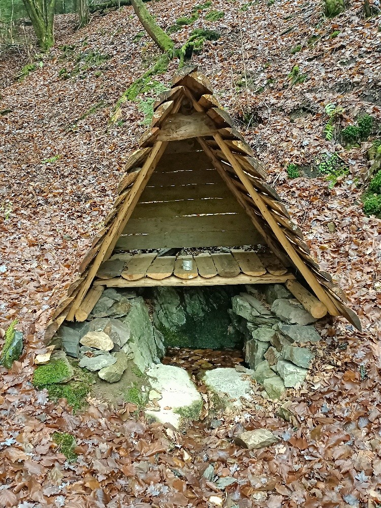 studánka bez jména (15609) - leden 2026