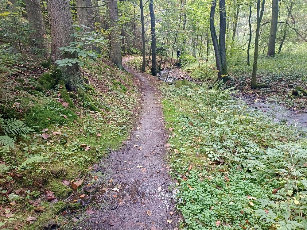 pramen bez jména (15611) - září 2025