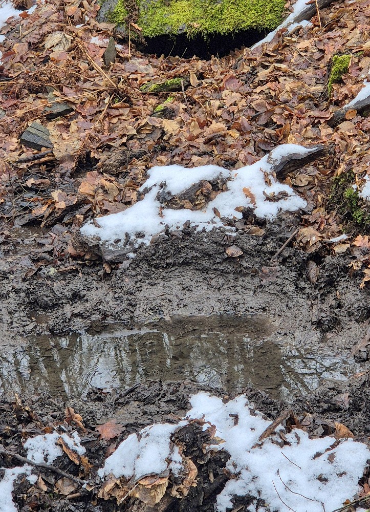 Kamenná studánka (15642) - únor 2026