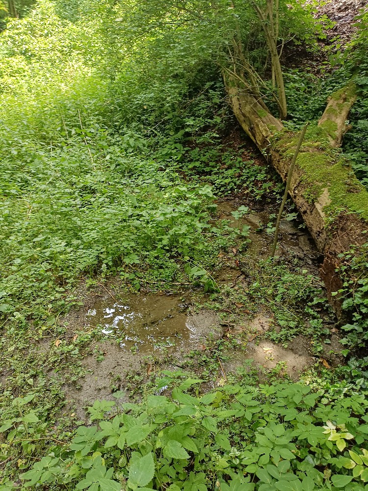 pramen bez jména (15644) - červen 2024