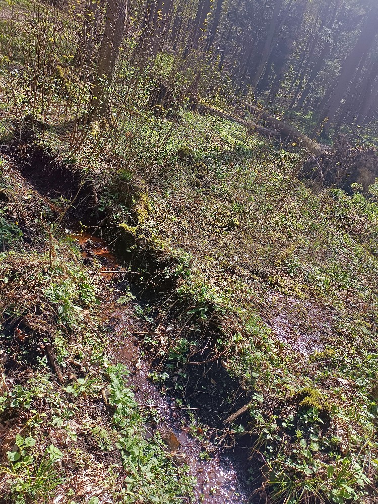 prameniště bez jména (15666) - duben 2024