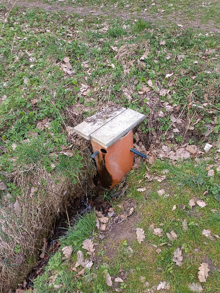 studánka bez jména (15667) - březen 2024