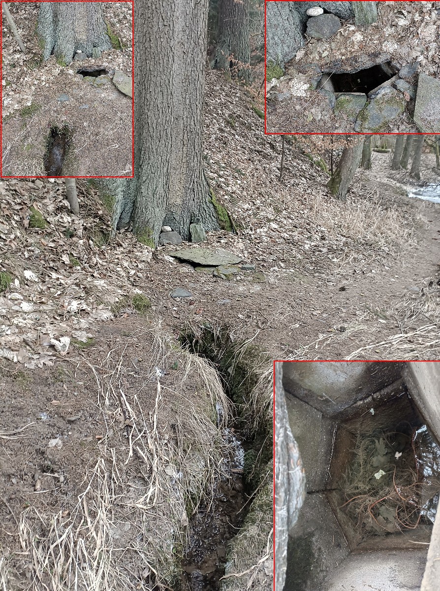 studánka bez jména (15669) - únor 2026