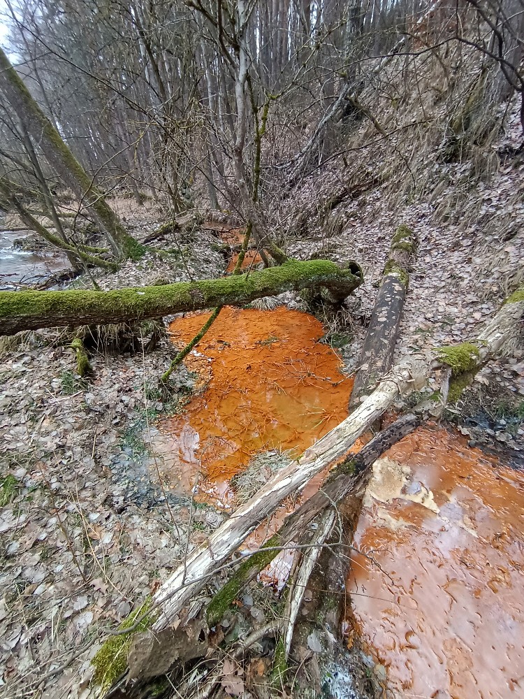 prameniště bez jména (15675) - leden 2024