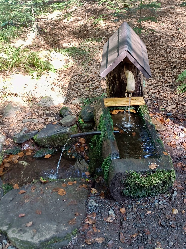 studánka bez jména (15677) - září 2023