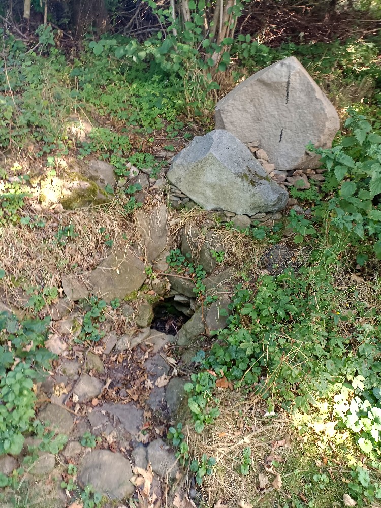 studánka bez jména (15680) - srpen 2023