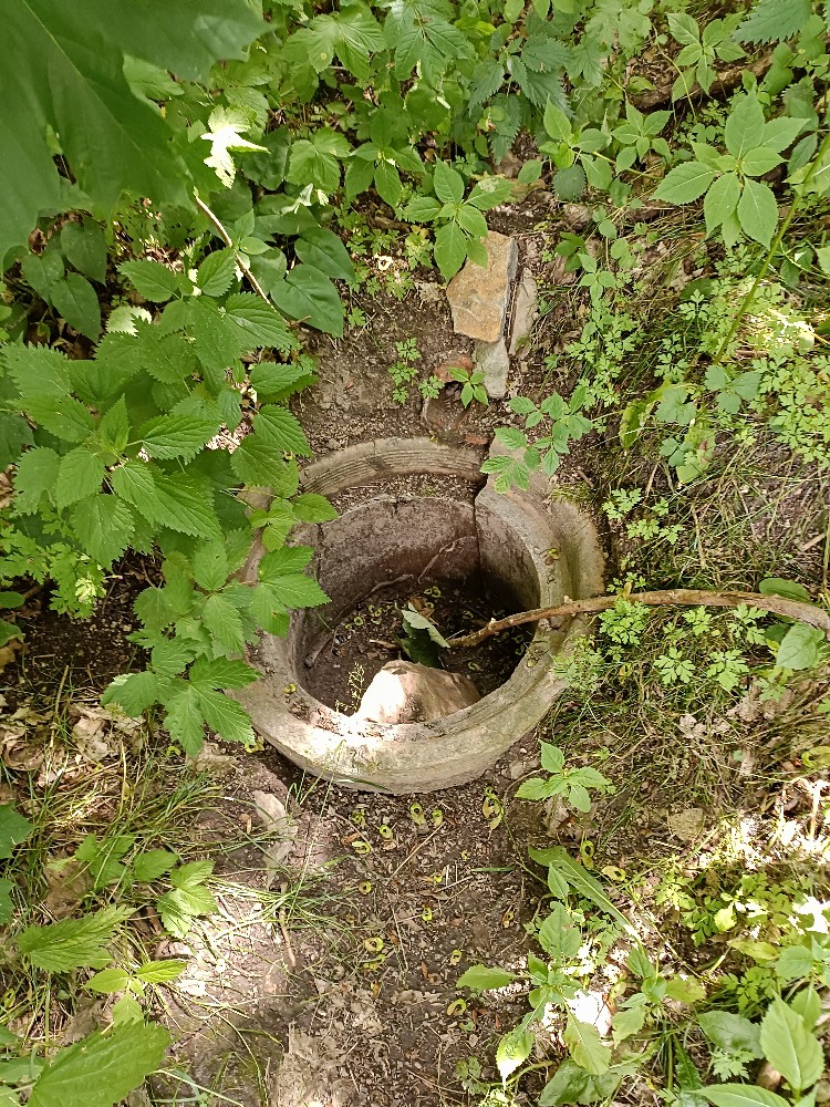 studánka Pod vodárnou (15686) - červenec 2023