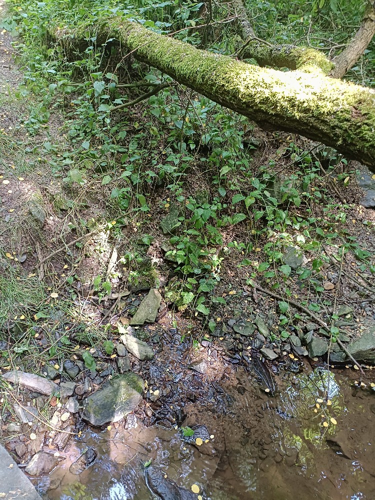 pramen bez jména (15687) - červen 2023