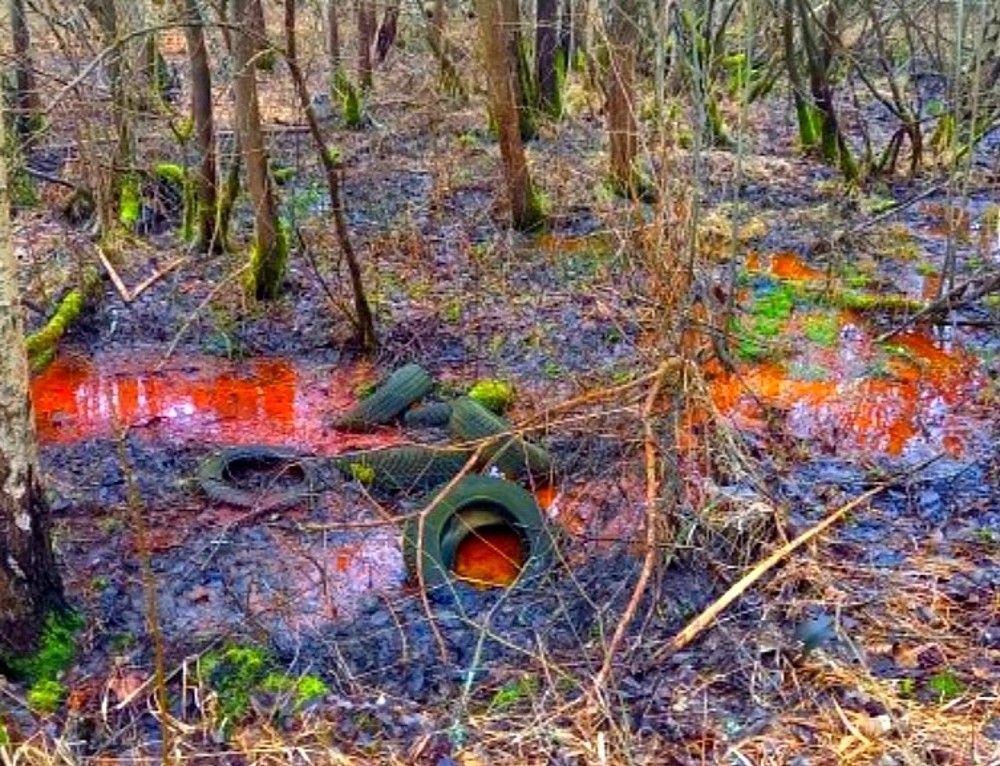 pramen Jateční Kyselka  (15690) - únor 2026