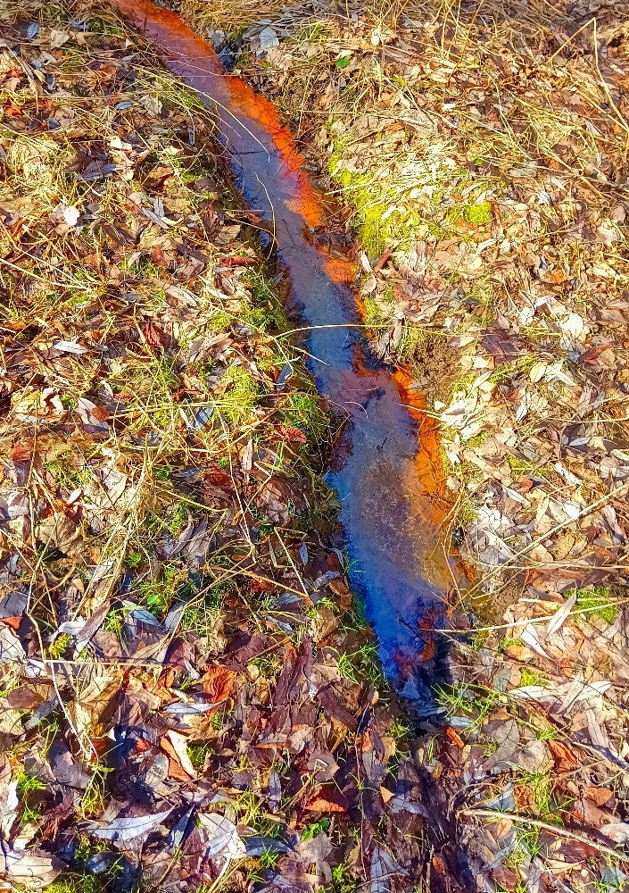 pramen Jateční Kyselka 3 (15692) - únor 2026