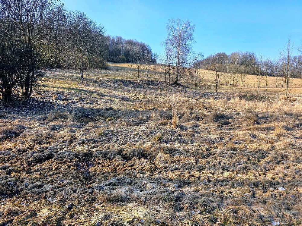 prameniště bez jména (15696) - březen 2026