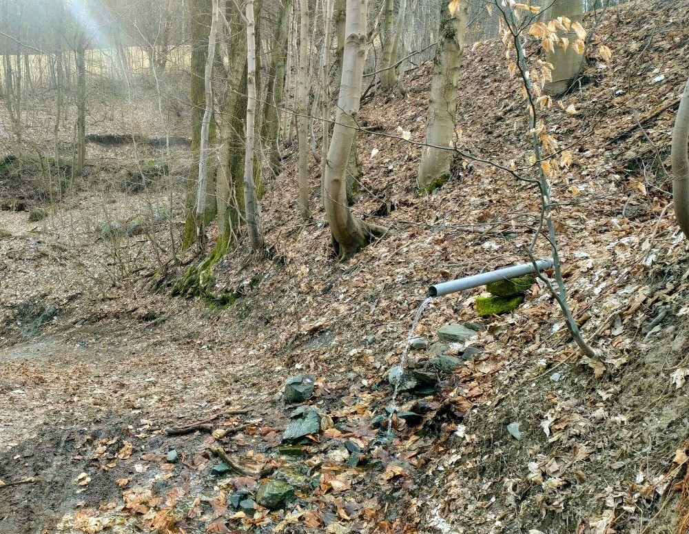 pramen Pod Mandlovou (15697) - březen 2026