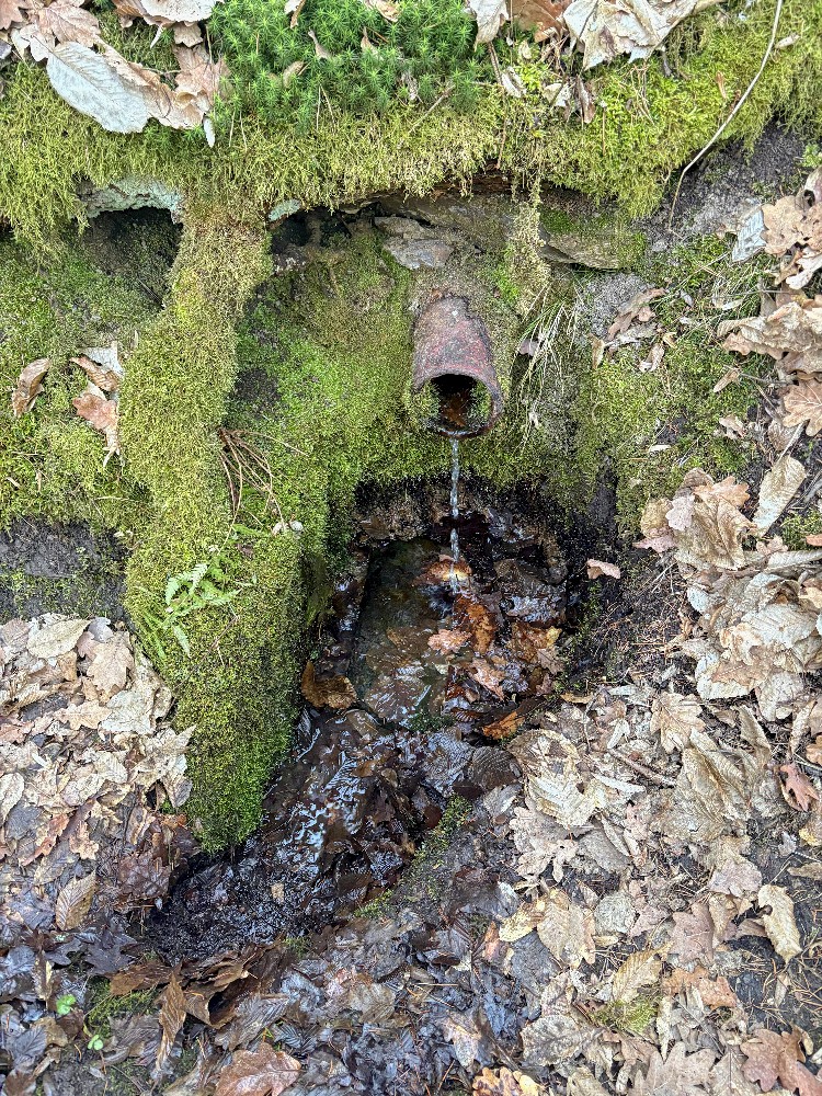 studánka Černíky (15699) - březen 2026