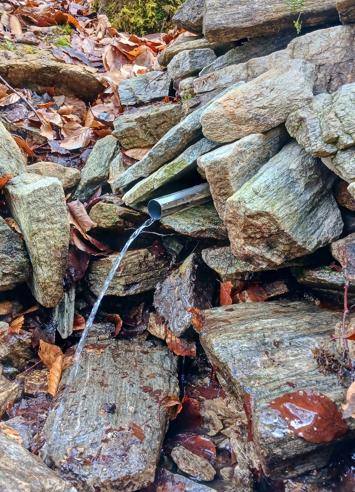 studánka Pramen Jonáš (15700) - březen 2026