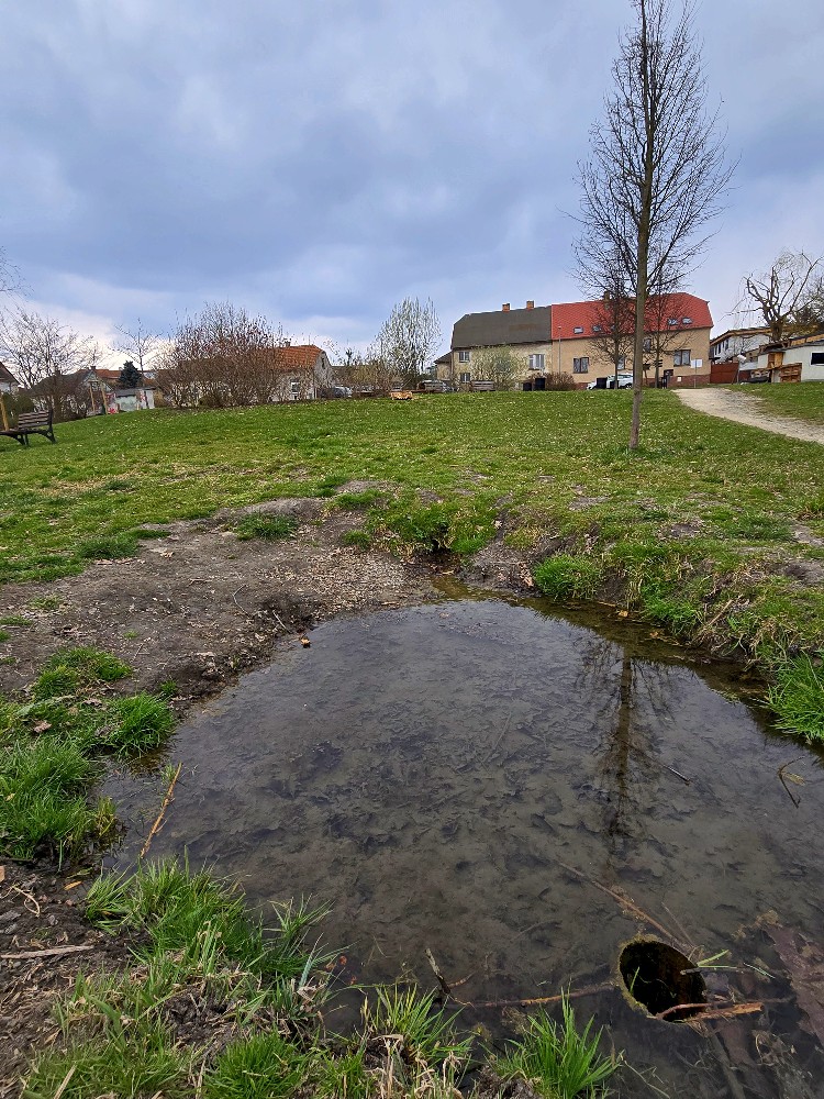 pramen Na Ohrádkách (15702) - březen 2026