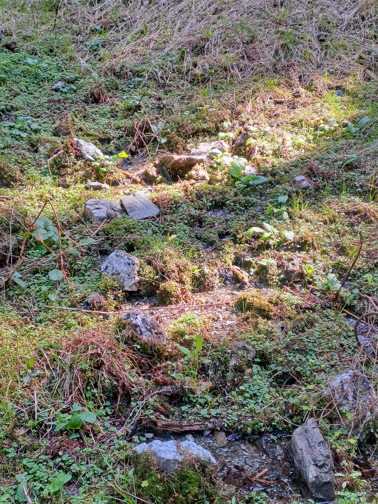 pramen bez jména (15711) - duben 2026