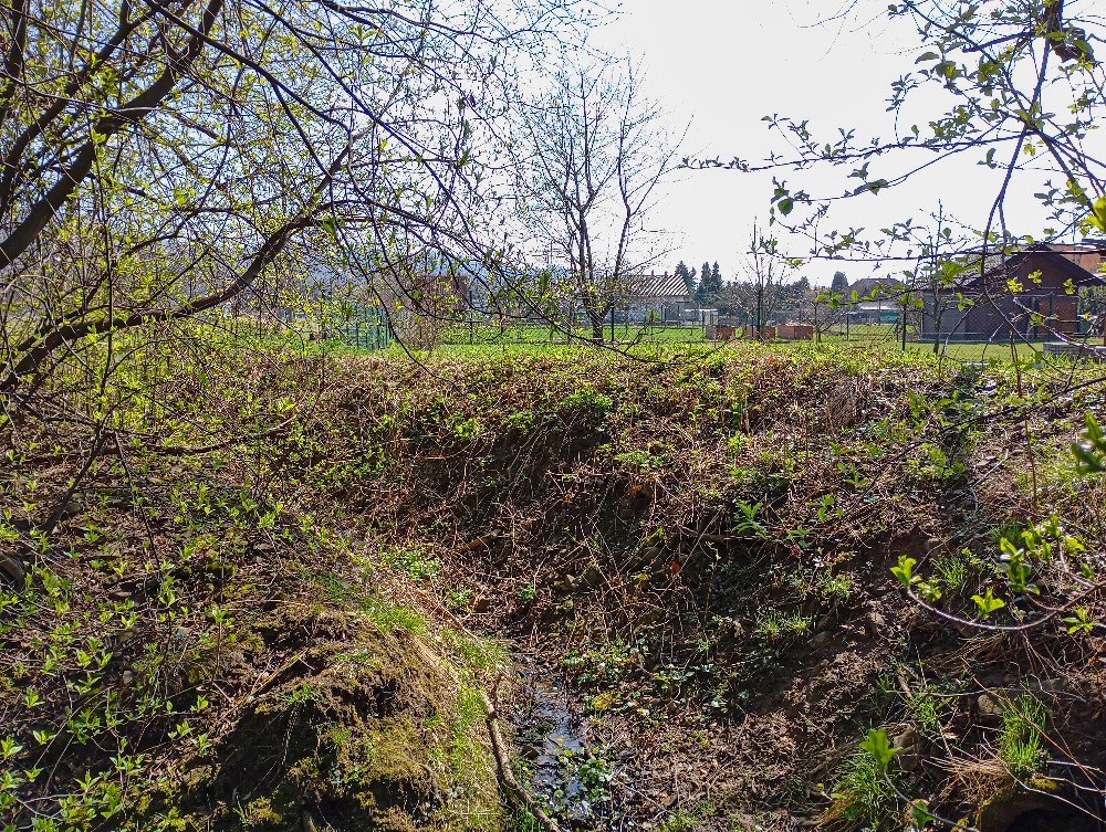 prameniště Luční (15713) - duben 2026