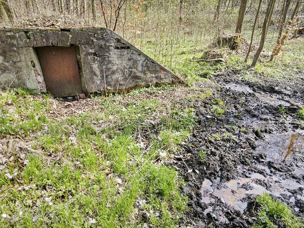 prameniště Novomlýnský pramen (15714) - duben 2026