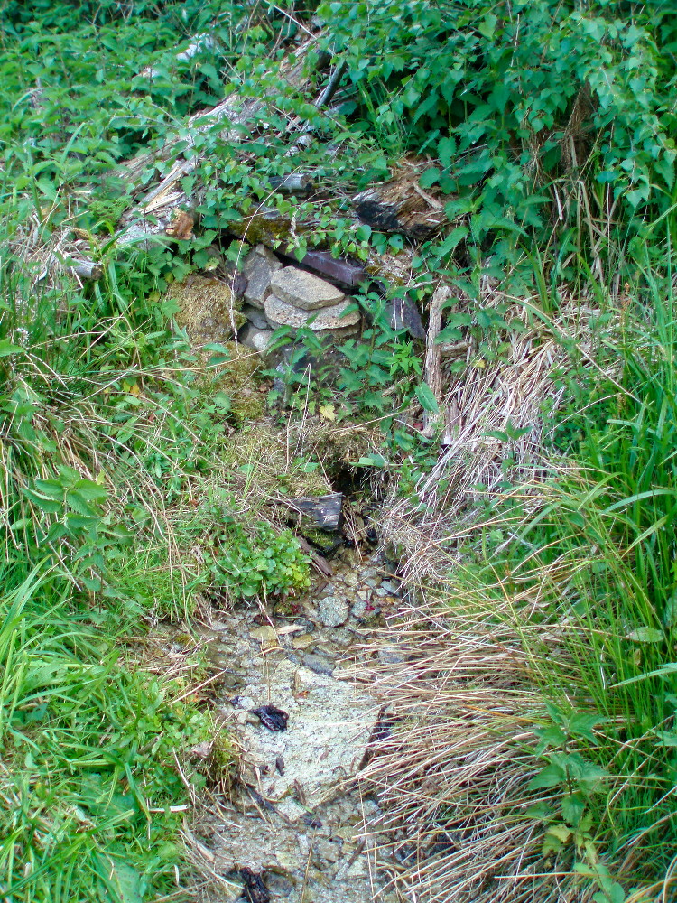 studánka bez jména (15758) - listopad -0001 studánka bez jména (15758) - listopad -0001