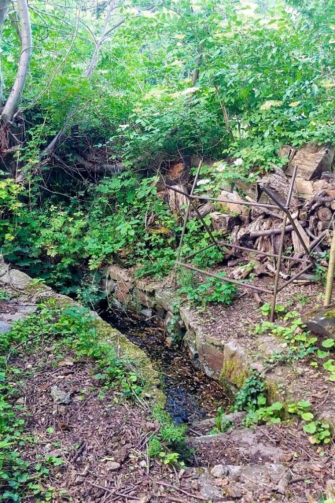 Lojovická studánka (15769) - červen 2026 Lojovická studánka (15769) - červen 2026
