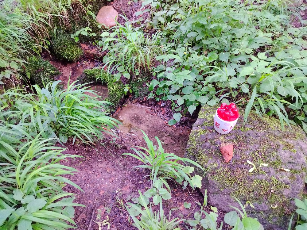 studánka Pramen sv. Marie (15770) - červen 2026