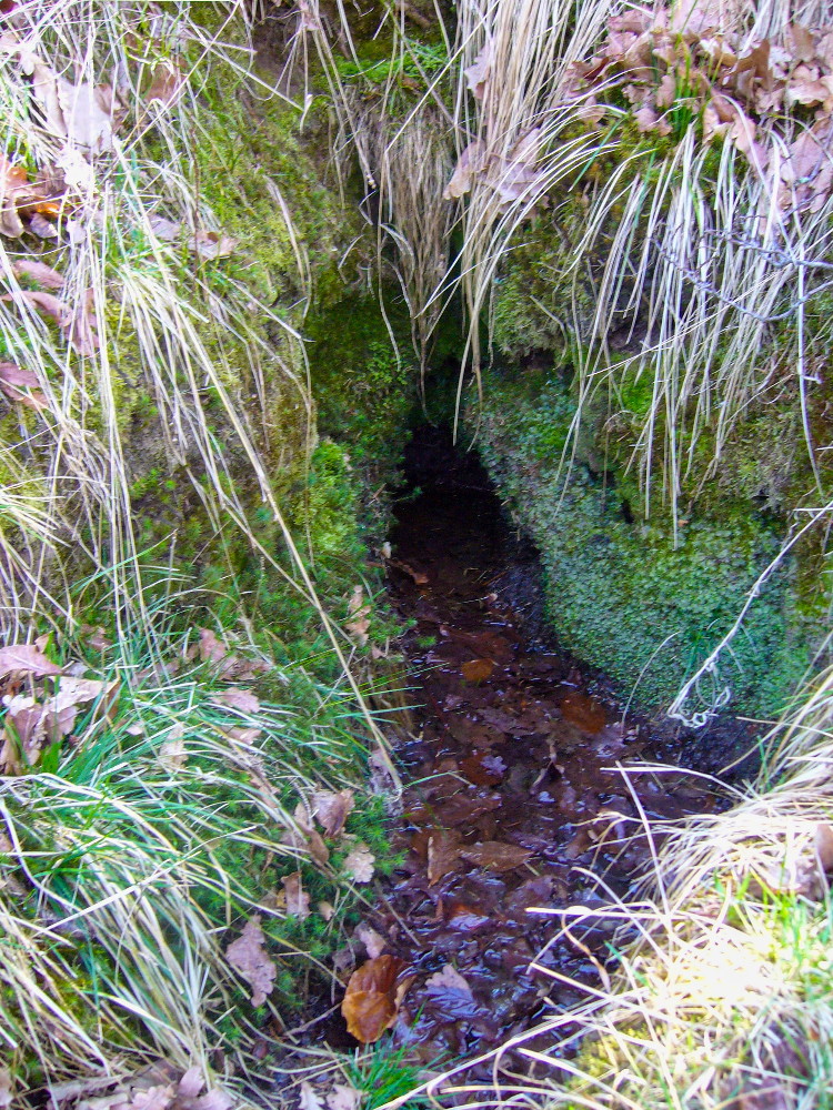 studánka Vorařská (15785) - listopad -0001