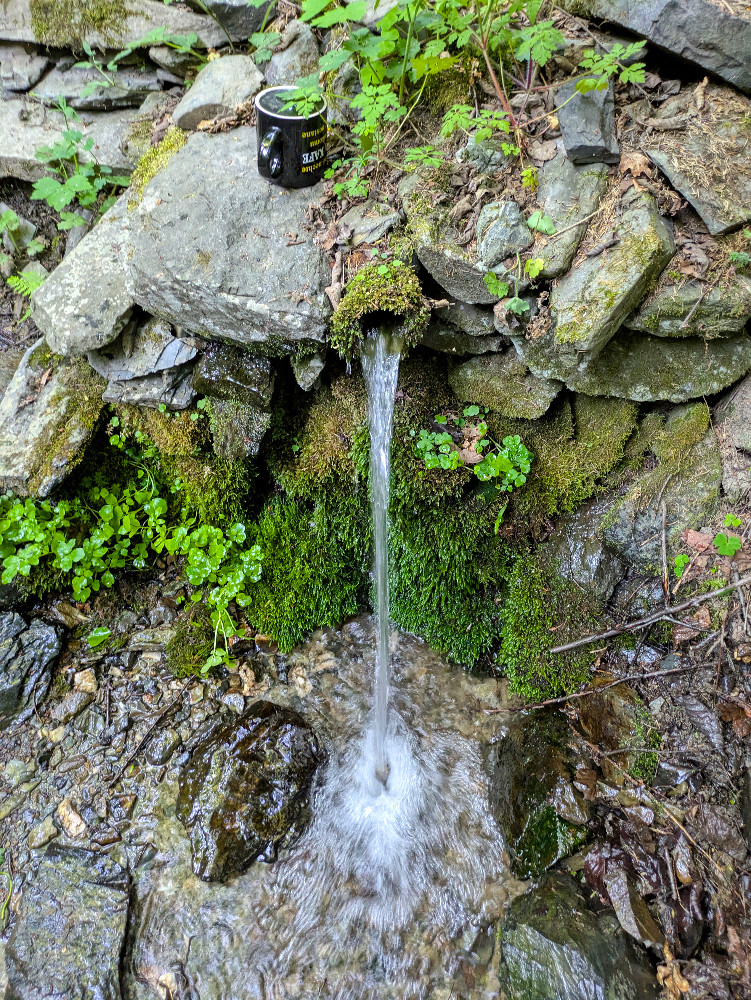 studánka bez jména (15789) - červenec 2026