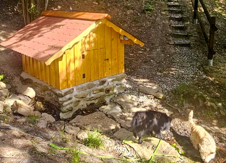 studánka Annenskomariánská (15810) - srpen 2026 studánka Annenskomariánská (15810) - srpen 2026